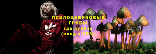 гидропоника Новодвинск
