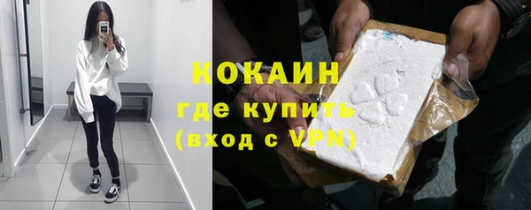 молекула духа Окуловка