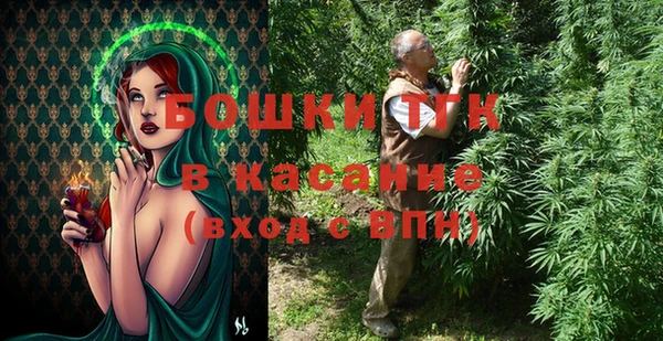 сатива Нягань